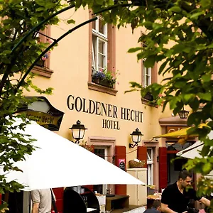 Goldener Hecht Heidelberg