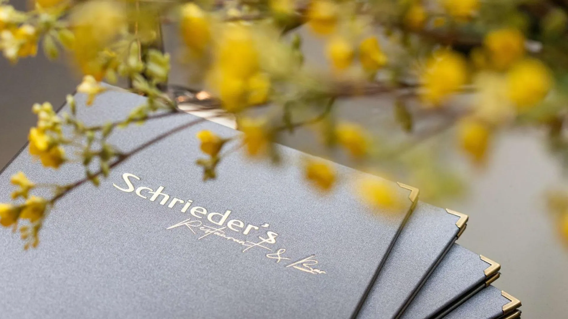 Hilton Heidelberg Hotel Germany